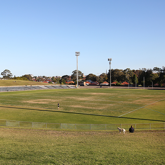  Henson Park Oval and park view